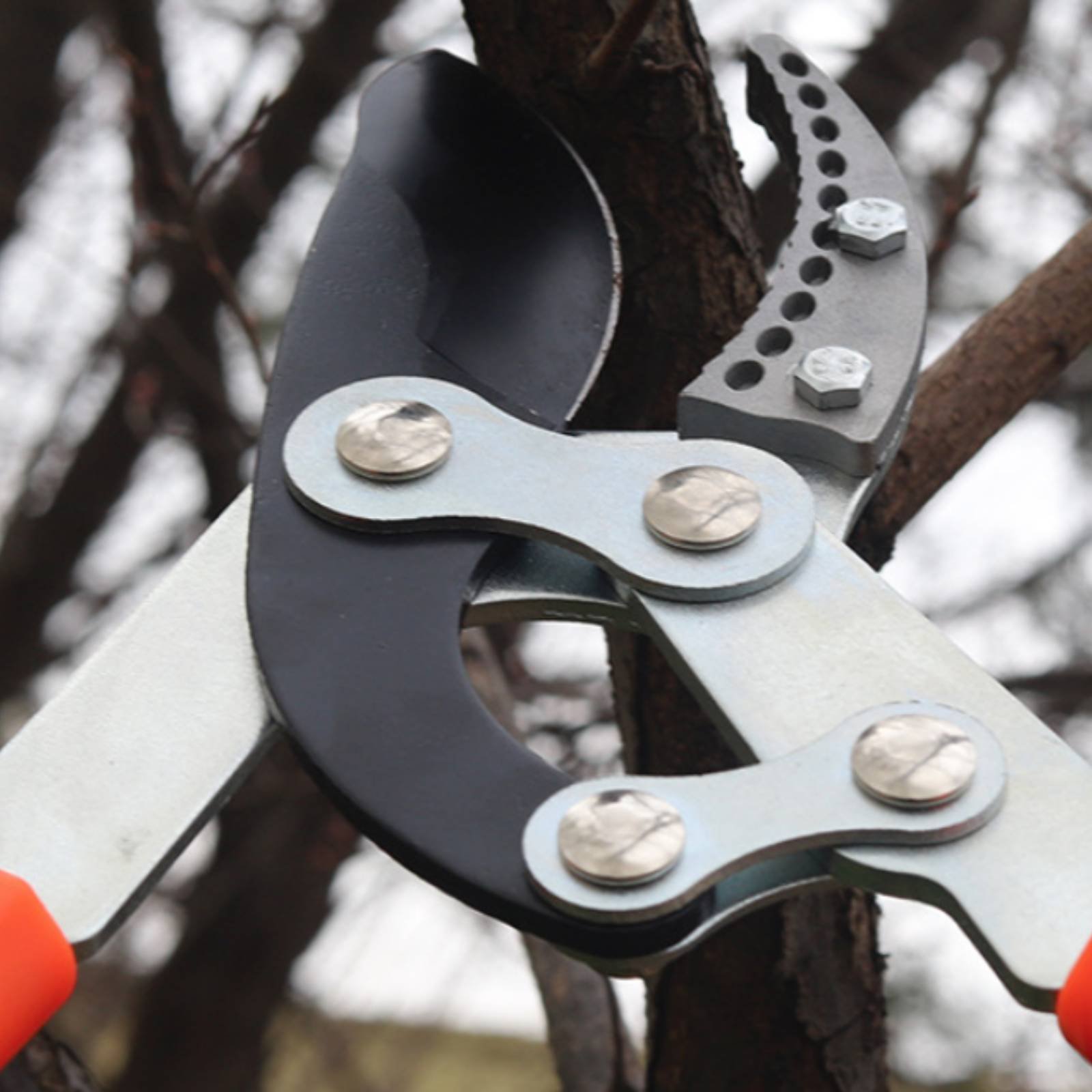 Телескопические секаторы для в – обзор и цена Garden Tools