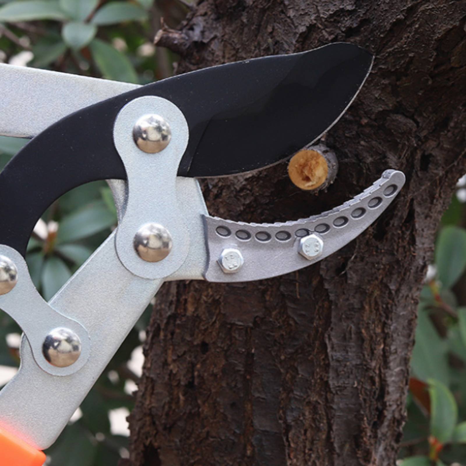 Телескопические секаторы для в – обзор и цена Garden Tools